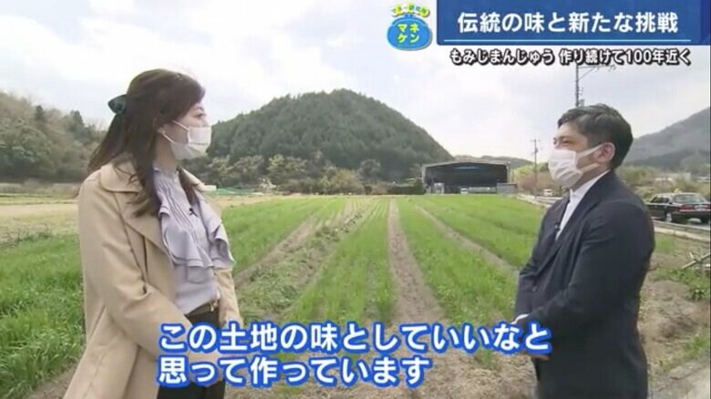 取材時は小豆の種まき前で、肥料用の麦が植えられていた