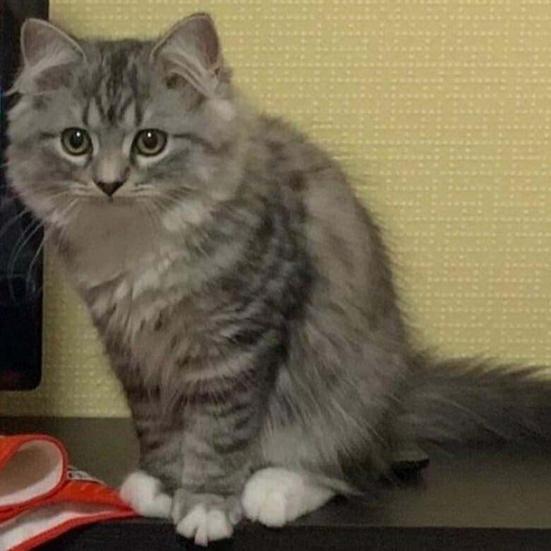 2021年7月の様子。少し大きくなったのが分かる
