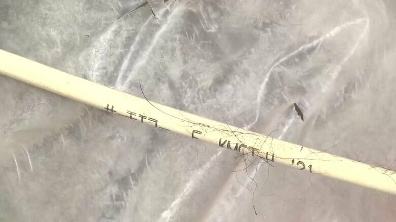 米ぬかが荒らされた現場