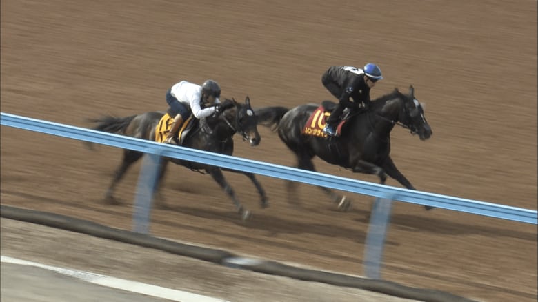 調教中のソングライン