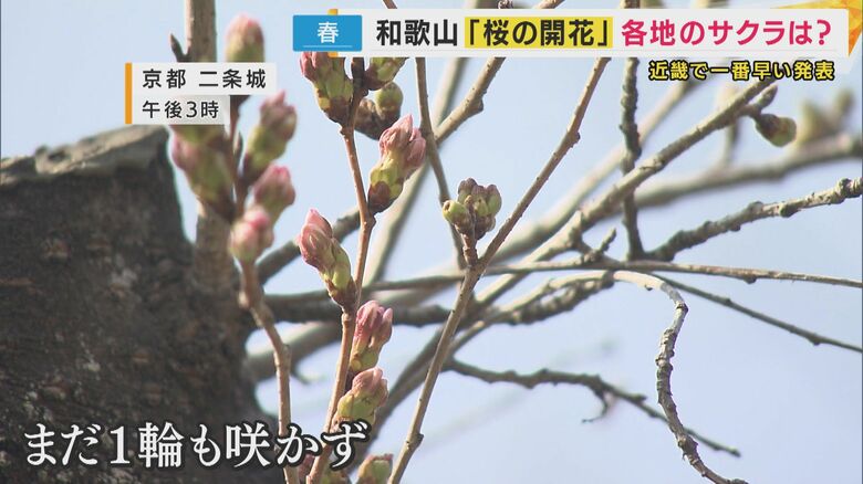 京都はまだこれから