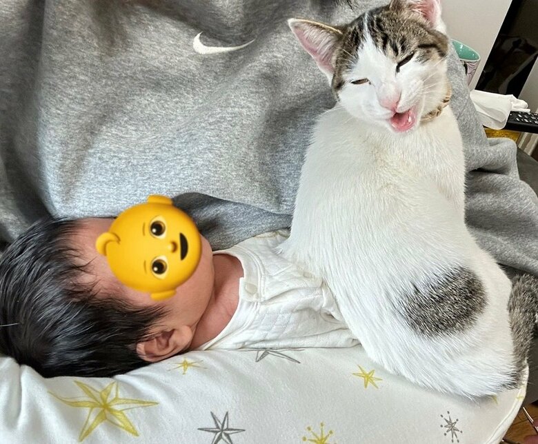 授乳クッションでくつろぎ始めるベンツちゃん