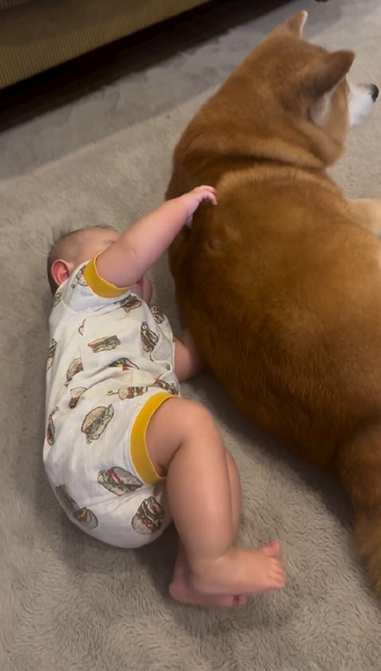 べりやんくんの背中つかんで