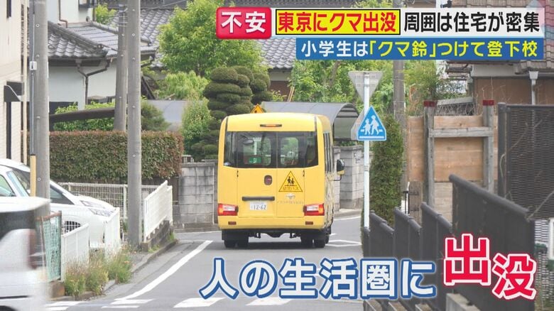 クマが現れたのは東京の市街地（関西テレビ「旬感LIVE とれたてっ！」より）