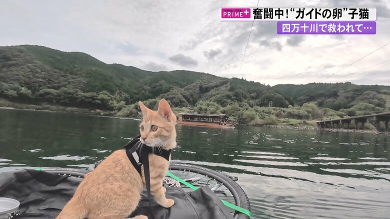 高倉さんと川を下るチャビ