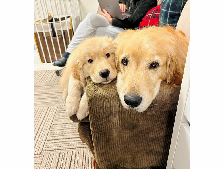 コメちゃんにくっつくイクラちゃん（提供：efrinmanさん）