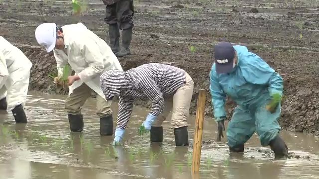 実証事業は栽培の次、出荷のフェーズへ