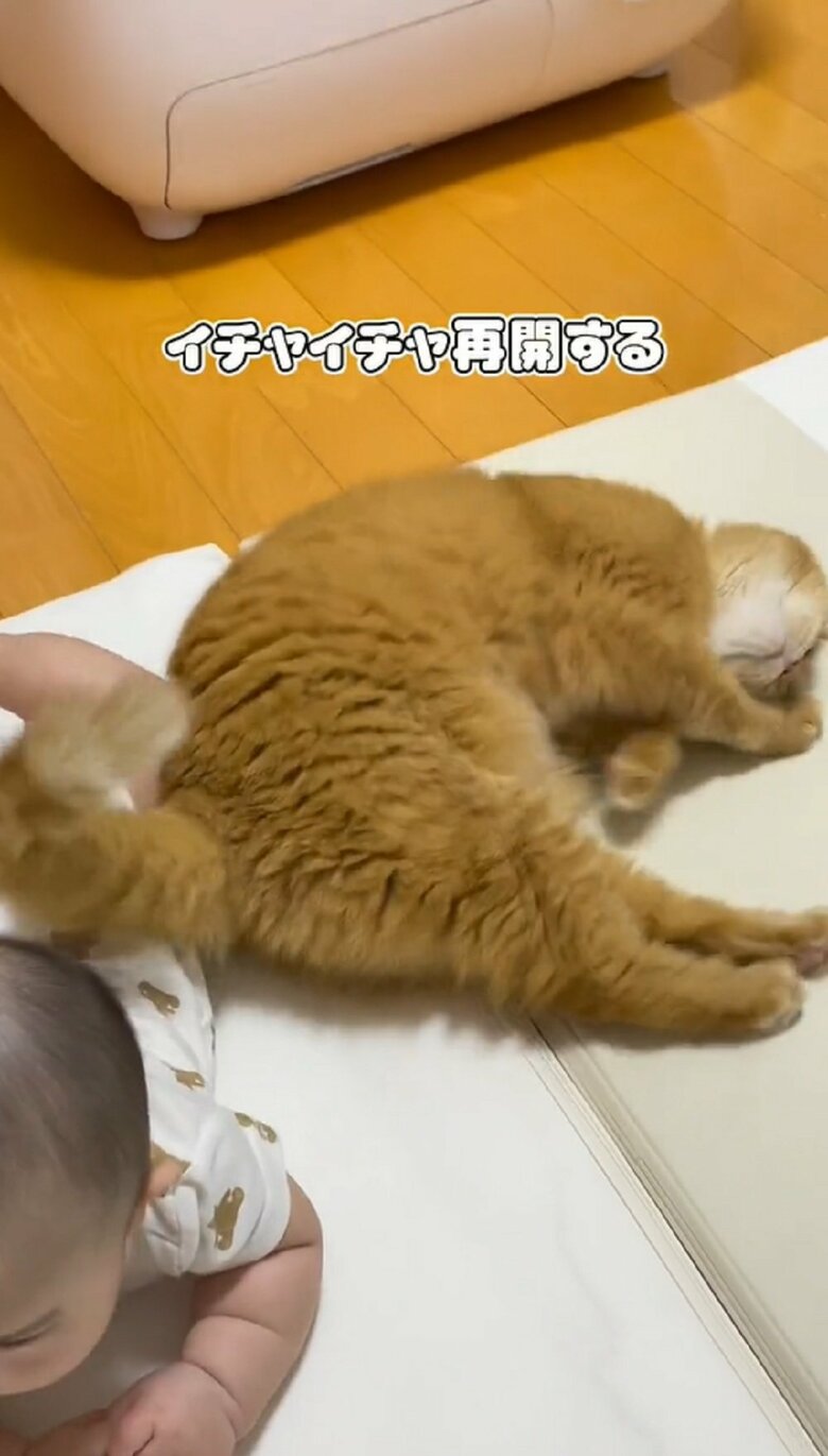 安心したこまるくんはイチャイチャを再開していた