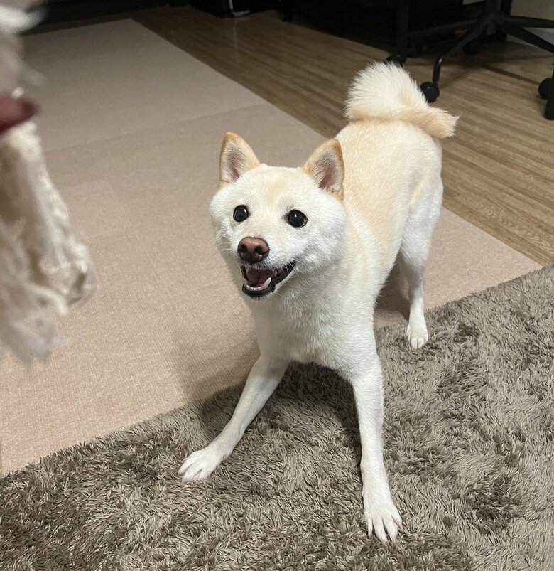遊ぼう！
