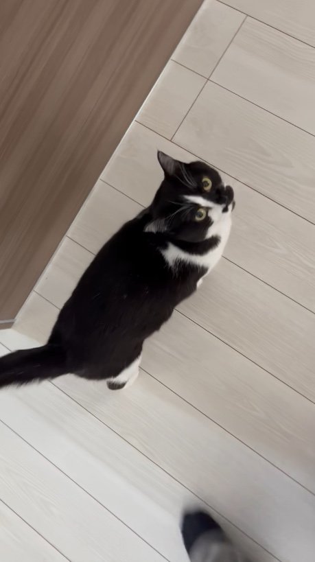 ご飯がね…（提供：卵山玉子先生）