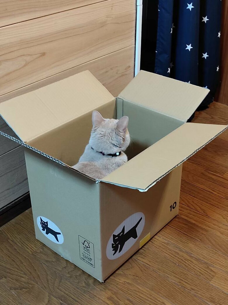 提供：nyaokoさん