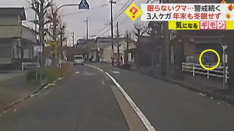 道路の向こうから急接近するクマに気づいた人が慌てて逃げる瞬間④