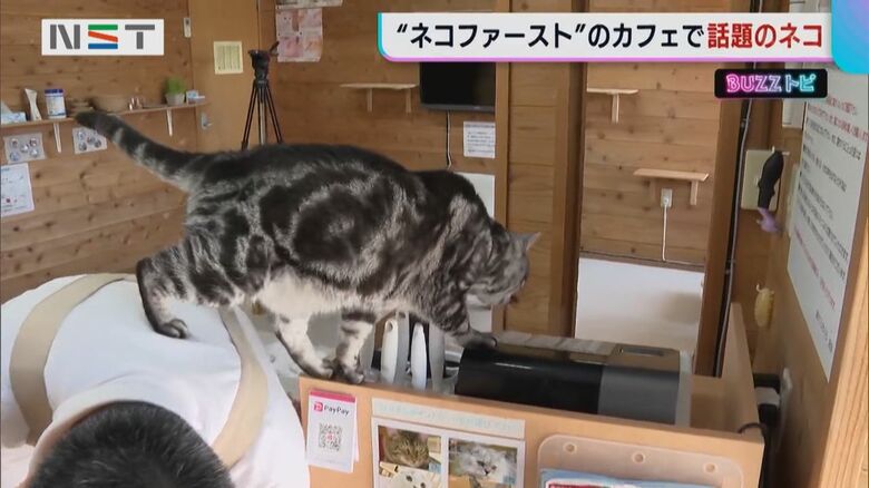 おやつに向かって歩くメイちゃん