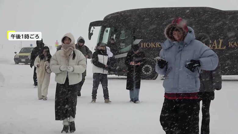 セブンスターの木がある場所には、15日も続々と観光客が訪れていた