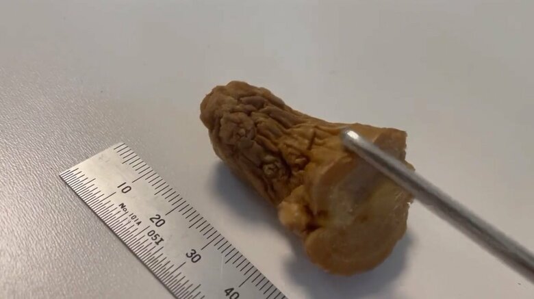 すっかりやわらかくなったしょうが