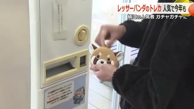 お財布もレッサーパンダ
