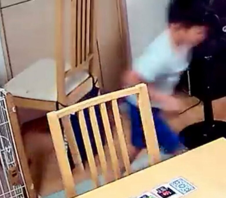 提供：柴犬勇者むぎさん