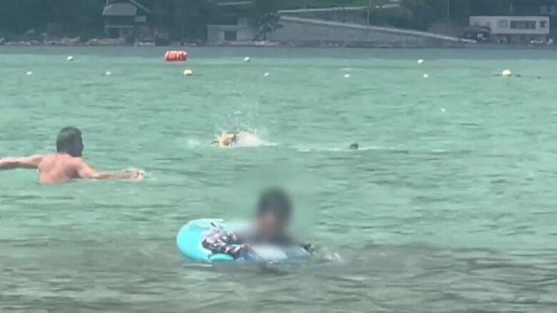 イルカが子どもを襲う一部始終⑭（全18枚）