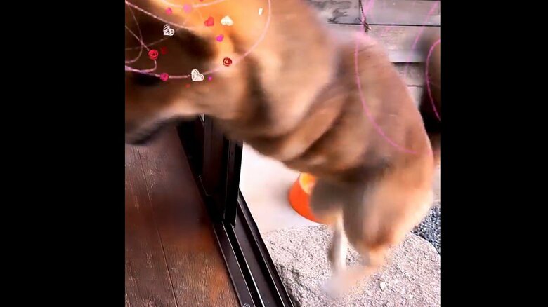 家の段差を乗り越える様子　その2