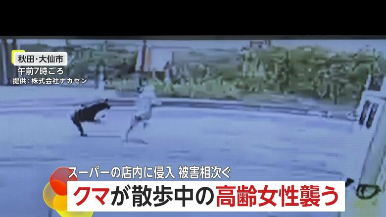 防犯カメラが捉えた、クマが高齢女性に襲いかかる瞬間⑦