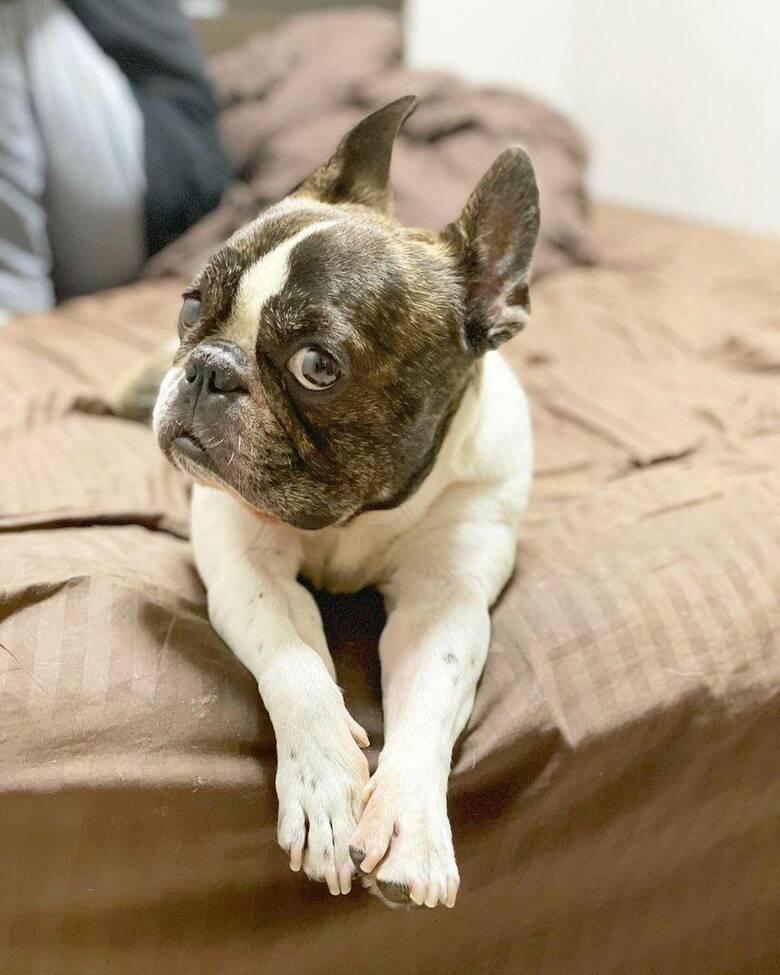 提供：丸男さん