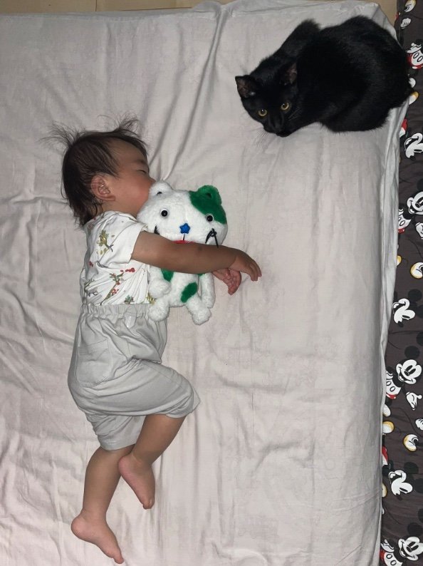 提供：ゴンゾウR4さん