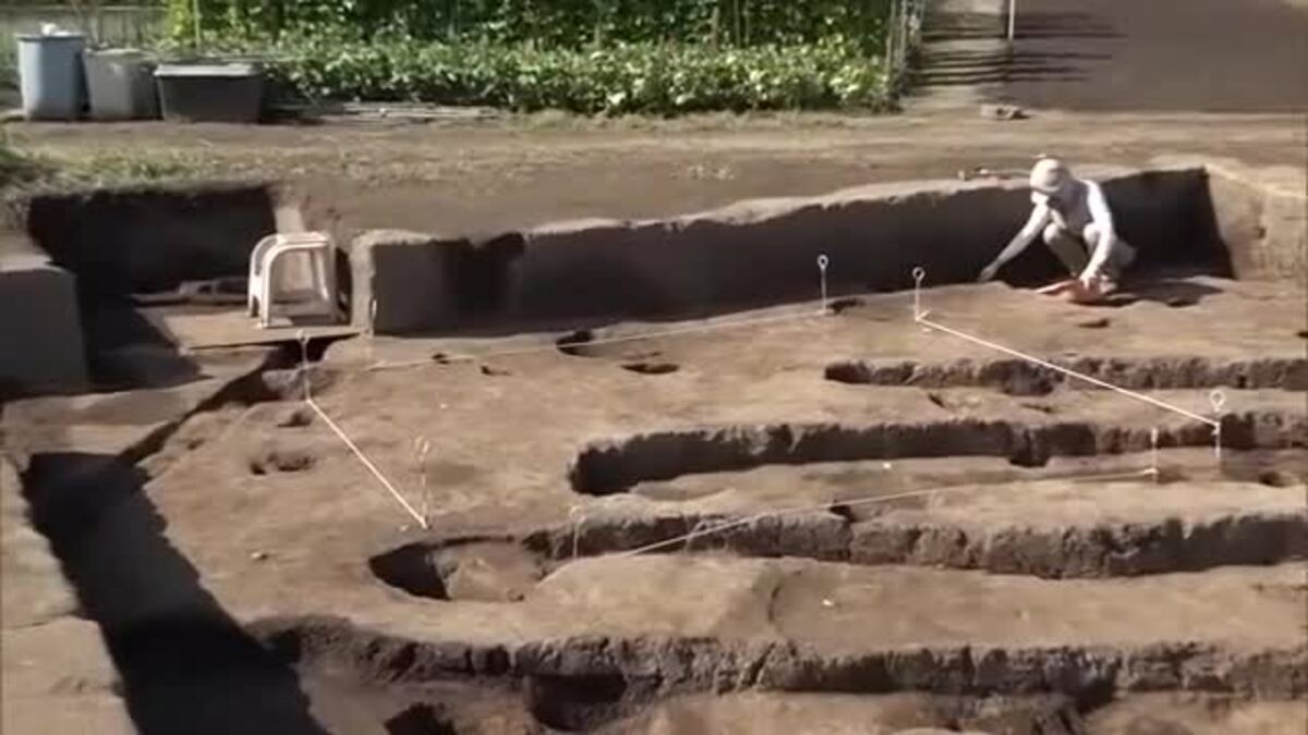 西岩野遺跡】有力者いたか…弥生時代の集落に“複数の建物”「さらに検証