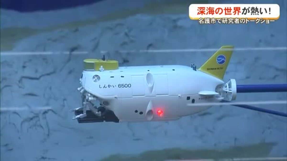 深海の世界が熱い！ 名護市で研究者がトークショー｜FNNプライムオンライン