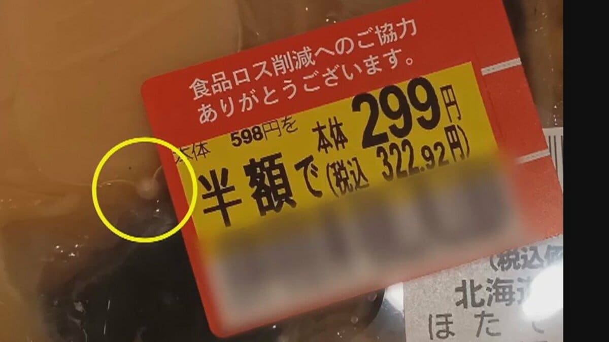 まさか】スーパーの322円の“半額”ホタテから真珠7個！真珠がとれる確率は20万分の1…価値を緊急査定｜FNNプライムオンライン