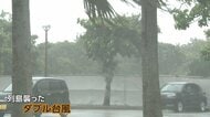 “ダブル台風”マンホールから大量の雨水が噴出　夏野菜にも被害　新たに“台風のたまご”発生のおそれも