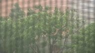 【中継】台風30号最接近の石垣島　「線状降水帯」発生の恐れ　厳重警戒