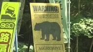 山菜採り中にクマ襲撃　福島　70代男性が顔にけが