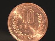 10円玉も10.54円分の価値に？価格上昇受け狙われる『銅』何度も銅線盗まれた太陽光発電所オーナー「こんなはずじゃ…」