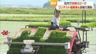 庄内で田植えピーク　「鶴岡ごはん日本一」最優秀賞の庄内おばこ農場・齋藤優幸さんの「つや姫」も　山形