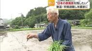 “日本の原風景を残したい”７３歳の農家の挑戦　徐々に浸透する熱い思い　東温市・河之内『棚田』の今【愛媛発】