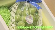 果物の女王…岡山特産のブドウ「マスカット・オブ・アレキサンドリア」岡山市のデパートに初入荷【岡山】