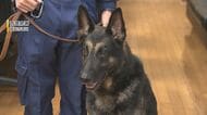 行方不明の80代女性を1時間半で発見 お手柄“エース警察犬”ラガー 枕カバーの匂い記憶し最悪の事態防ぐ 【福岡発】