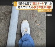 誰が何の目的で　公園で23kgのポールが倒れ小学3年生の男の子が骨折　市が公園の点検を検討　川崎市