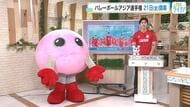 【バレーボール】２１日開幕のアジア選手権　栗原恵さんが見どころ解説！佐藤選手のサーブと関選手のトス