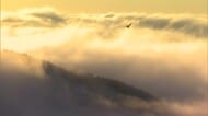 岡山県北の津山盆地に今季初の「雲海」１８０度見渡せる幻想的な光景は前年より約１ヵ月早く現れる【岡山】