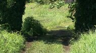 「殴られたようだ」と通報　17歳男子高校生が死亡　頭部に損傷か　事件に巻き込まれた可能性も　神奈川・相模原市