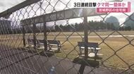 宮城野区幸町でクマ目撃相次ぐ 半径８００ｍで９件確認　障害者体育センターではフンも発見〈仙台〉