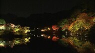 照らされる名園の紅葉 秋の夜を彩る 栗林公園秋のライトアップ【香川・高松市】
