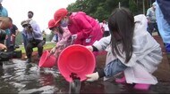 幻の高級魚・ホシガレイの稚魚を放流<岩手・宮古市>