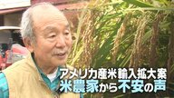「価格で戦えない」関税めぐる交渉の切り札…“アメリカ産米輸入拡大案”に新潟の米農家から不安の声