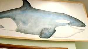 Making a Fishy Impression: “Gyotaku” Fish Prints Gain Reputation as Art