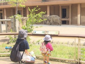 事前にネット予約した客が笑顔で散策…プレオープン経て動植物園が再開 屋内施設は引き続き閉館