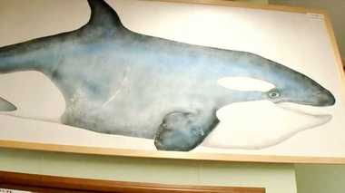 Making a Fishy Impression: “Gyotaku” Fish Prints Gain Reputation as Art