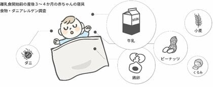 離乳食前の乳児が寝ている場所のアレルゲン調査 ― 寝具にはダニだけでなく、ナッツ・卵・牛乳・小麦などのアレルゲンが存在 ―