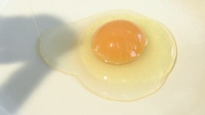 ケーキ店、おでんが売りの店は悲鳴…卵の価格高騰“1キロ当たり326円”　「エッグショック」に迫る高値　